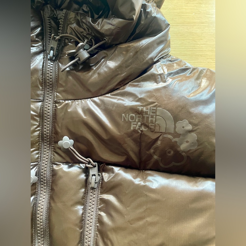 The North Face x Cecilie Bahnsen Megi Himalayan Parka Jacket